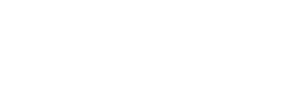 Pixiebiz